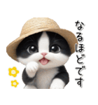 可愛いハチワレ猫 思いやり 麦わら帽 敬語（個別スタンプ：16）