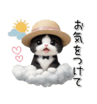 可愛いハチワレ猫 思いやり 麦わら帽 敬語（個別スタンプ：20）