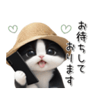 可愛いハチワレ猫 思いやり 麦わら帽 敬語（個別スタンプ：26）