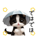 可愛いハチワレ猫 思いやり 麦わら帽 敬語（個別スタンプ：31）