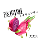 赤果肉 ドラゴンフルーツ 【台湾語】（個別スタンプ：3）