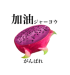 赤果肉 ドラゴンフルーツ 【台湾語】（個別スタンプ：4）