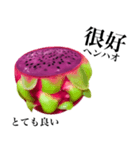 赤果肉 ドラゴンフルーツ 【台湾語】（個別スタンプ：6）