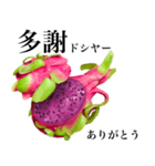 赤果肉 ドラゴンフルーツ 【台湾語】（個別スタンプ：8）