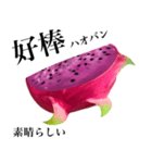 赤果肉 ドラゴンフルーツ 【台湾語】（個別スタンプ：10）