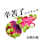 赤果肉 ドラゴンフルーツ 【台湾語】（個別スタンプ：11）