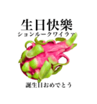 赤果肉 ドラゴンフルーツ 【台湾語】（個別スタンプ：14）