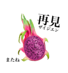 赤果肉 ドラゴンフルーツ 【台湾語】（個別スタンプ：16）