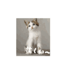 大人な猫の日常 2（個別スタンプ：9）