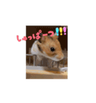てんてんが動くでち！（個別スタンプ：14）