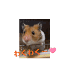てんてんが動くでち！（個別スタンプ：15）