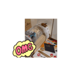 てんてんが動くでち！（個別スタンプ：16）