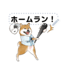 柴犬の野球部ライフ（個別スタンプ：3）