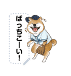 柴犬の野球部ライフ（個別スタンプ：4）