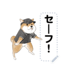 柴犬の野球部ライフ（個別スタンプ：7）