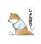 柴犬の野球部ライフ（個別スタンプ：9）