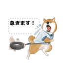 柴犬の野球部ライフ（個別スタンプ：11）