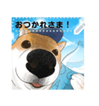 柴犬の野球部ライフ（個別スタンプ：13）