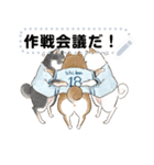 柴犬の野球部ライフ（個別スタンプ：15）
