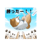 柴犬の野球部ライフ（個別スタンプ：16）