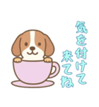 カップから犬3（日常）（個別スタンプ：11）
