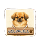チベタンスパニエルイラスト（個別スタンプ：1）