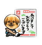 チベタンスパニエルイラスト（個別スタンプ：2）