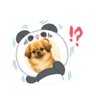 チベタンスパニエルイラスト（個別スタンプ：3）