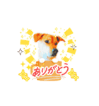 耳たれ犬マリンStamp2（個別スタンプ：2）
