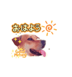 耳たれ犬マリンStamp2（個別スタンプ：4）