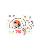 耳たれ犬マリンStamp2（個別スタンプ：5）
