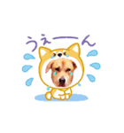 耳たれ犬マリンStamp2（個別スタンプ：8）