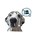 リアルみつをでござぃ！その1（個別スタンプ：5）