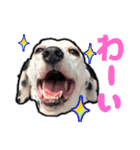リアルみつをでござぃ！その1（個別スタンプ：7）