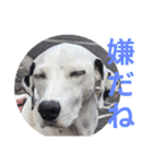 リアルみつをでござぃ！その1（個別スタンプ：8）