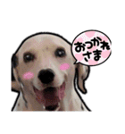 リアルみつをでござぃ！その1（個別スタンプ：31）