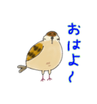 もふふふスズメ(3)  (秋)（個別スタンプ：1）