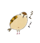 もふふふスズメ(3)  (秋)（個別スタンプ：2）