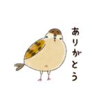 もふふふスズメ(3)  (秋)（個別スタンプ：3）