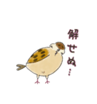 もふふふスズメ(3)  (秋)（個別スタンプ：5）