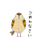 もふふふスズメ(3)  (秋)（個別スタンプ：7）