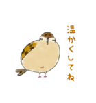 もふふふスズメ(3)  (秋)（個別スタンプ：8）