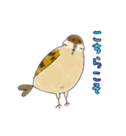 もふふふスズメ(3)  (秋)（個別スタンプ：13）