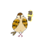 もふふふスズメ(3)  (秋)（個別スタンプ：19）