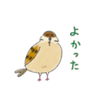 もふふふスズメ(3)  (秋)（個別スタンプ：20）