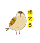 もふふふスズメ(3)  (秋)（個別スタンプ：21）