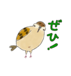 もふふふスズメ(3)  (秋)（個別スタンプ：25）