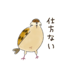 もふふふスズメ(3)  (秋)（個別スタンプ：26）