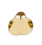 もふふふスズメ(3)  (秋)（個別スタンプ：38）