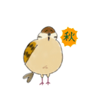 もふふふスズメ(3)  (秋)（個別スタンプ：40）